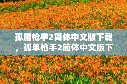 孤胆枪手2简体中文版下载，孤单枪手2简体中文版下载指南