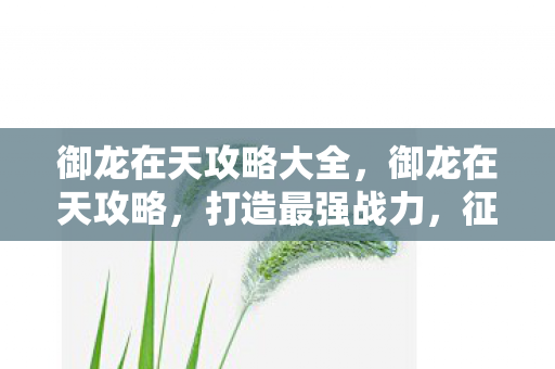 御龙在天攻略大全，御龙在天攻略，打造最强战力，征服九州！