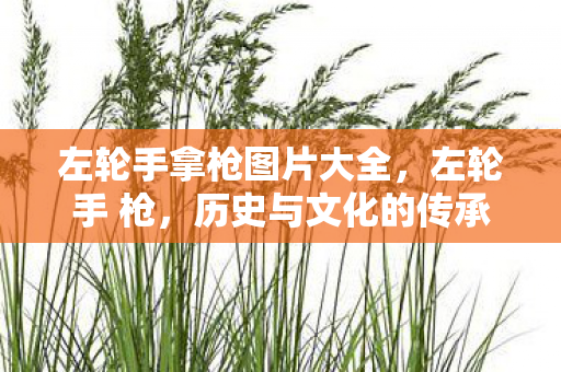 左轮手拿枪图片大全,左轮手 枪,历史与文化的传承 左轮手拿枪图片大全,左轮手 枪,历史与文化的传承