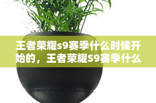王者荣耀s9赛季什么时候开始的，王者荣耀S9赛季什么时候开始
