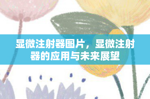 显微注射器图片，显微注射器的应用与未来展望