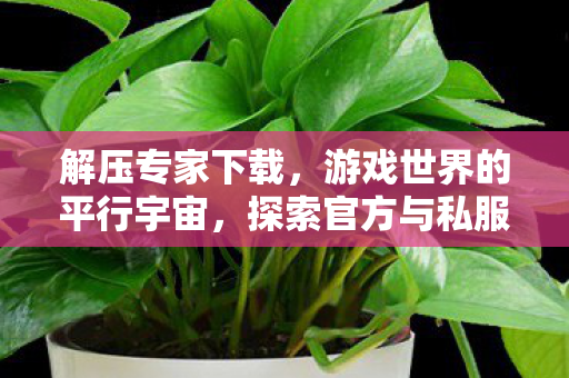 解压专家下载，游戏世界的平行宇宙，探索官方与私服的独特魅力