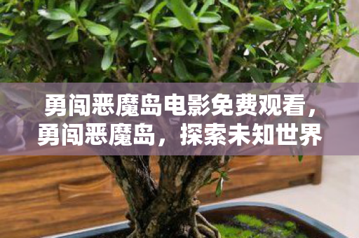 勇闯恶魔岛电影免费观看,勇闯恶魔岛,探索未知世界的奇幻冒险 勇闯恶魔岛电影免费观看,勇闯恶魔岛,探索未知世界的奇幻冒险