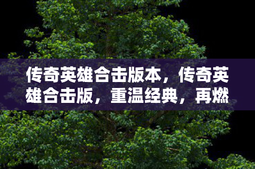 传奇英雄合击版本，传奇英雄合击版，重温经典，再燃战火