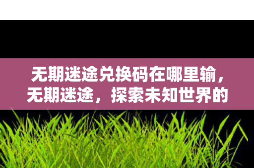 无期迷途兑换码在哪里输,无期迷途,探索未知世界的神秘兑换码 无期迷途兑换码在哪里输,无期迷途,探索未知世界的神秘兑换码