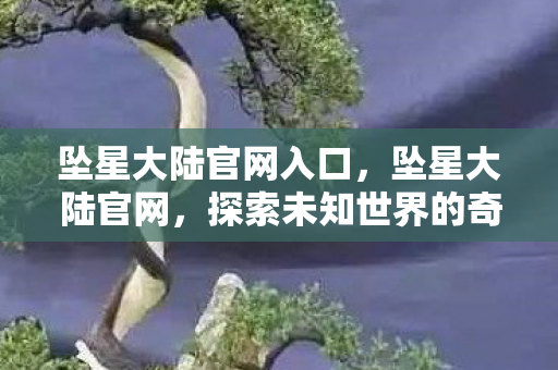 坠星大陆官网入口，坠星大陆官网，探索未知世界的奇幻之旅