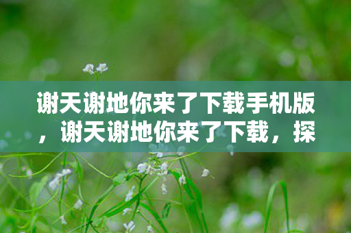 谢天谢地你来了下载手机版,谢天谢地你来了下载,探索正版游戏的魅力与乐趣 谢天谢地你来了下载手机版,谢天谢地你来了下载,探索正版游戏的魅力与乐趣