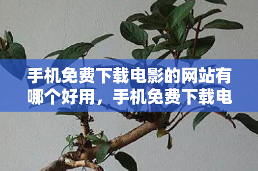 手机免费下载电影的网站有哪个好用,手机免费下载电影,探索正规平台的便捷与乐趣 手机免费下载电影的网站有哪个好用,手机免费下载电影,探索正规平台的便捷与乐趣