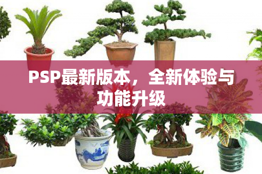 PSP最新版本,全新体验与功能升级 PSP最新版本,全新体验与功能升级