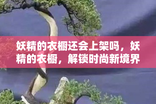 妖精的衣橱还会上架吗，妖精的衣橱，解锁时尚新境界的虚拟之旅