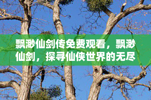 飘渺仙剑传免费观看，飘渺仙剑，探寻仙侠世界的无尽魅力