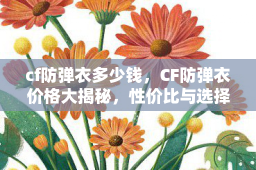 cf防弹衣多少钱，CF防弹衣价格大揭秘，性价比与选择的艺术