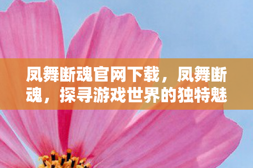 凤舞断魂官网下载，凤舞断魂，探寻游戏世界的独特魅力