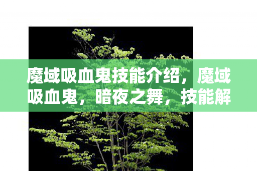 魔域吸血鬼技能介绍，魔域吸血鬼，暗夜之舞，技能解析
