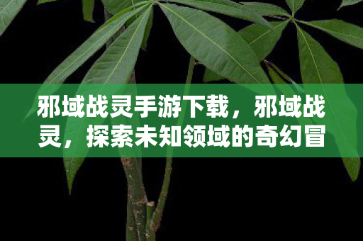 邪域战灵手游下载，邪域战灵，探索未知领域的奇幻冒险