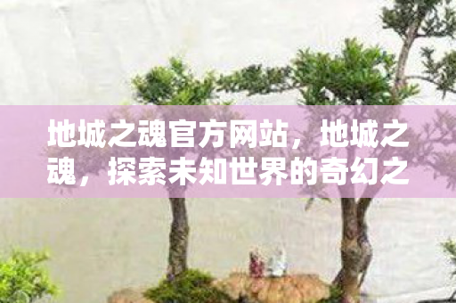 地城之魂官方网站，地城之魂，探索未知世界的奇幻之旅
