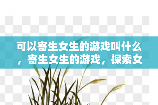 可以寄生女生的游戏叫什么，寄生女生的游戏，探索女性向游戏的魅力与乐趣