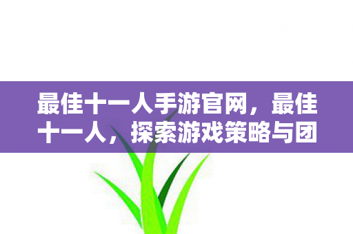 最佳十一人手游官网，最佳十一人，探索游戏策略与团队精神的极致