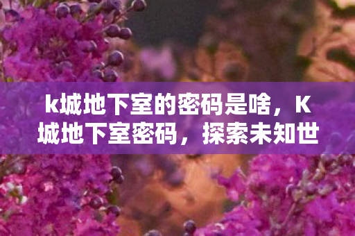k城地下室的密码是啥,K城地下室密码,探索未知世界的神秘之旅 k城地下室的密码是啥,K城地下室密码,探索未知世界的神秘之旅