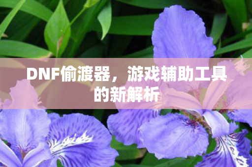 DNF偷渡器，游戏辅助工具的新解析