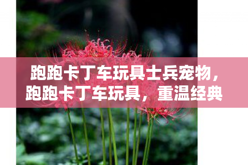 跑跑卡丁车玩具士兵宠物，跑跑卡丁车玩具，重温经典，玩具中的速度与激情