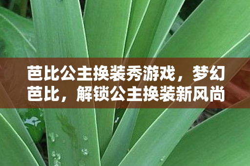 芭比公主换装秀游戏，梦幻芭比，解锁公主换装新风尚