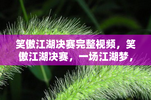 笑傲江湖决赛完整视频,笑傲江湖决赛,一场江湖梦,几多英雄泪 笑傲江湖决赛完整视频,笑傲江湖决赛,一场江湖梦,几多英雄泪