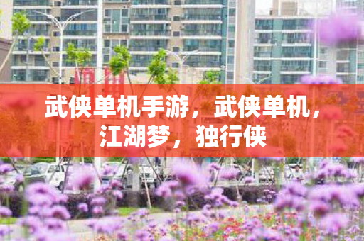 武侠单机手游,武侠单机,江湖梦,独行侠 武侠单机手游,武侠单机,江湖梦,独行侠