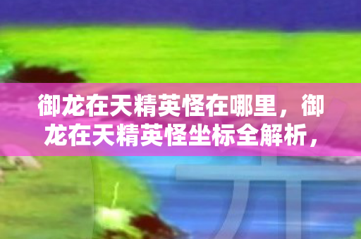 御龙在天精英怪在哪里，御龙在天精英怪坐标全解析，挑战与机遇并存