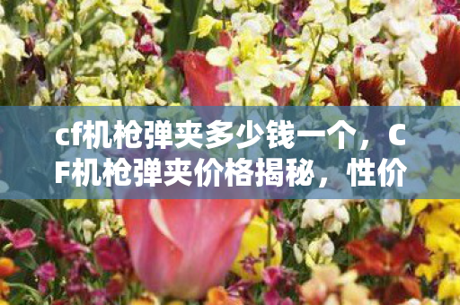 cf机枪弹夹多少钱一个，CF机枪弹夹价格揭秘，性价比与官方渠道的考量