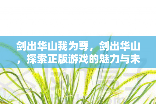 剑出华山我为尊，剑出华山，探索正版游戏的魅力与未来