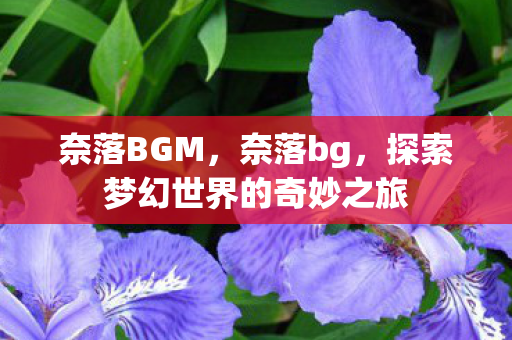 奈落BGM，奈落bg，探索梦幻世界的奇妙之旅