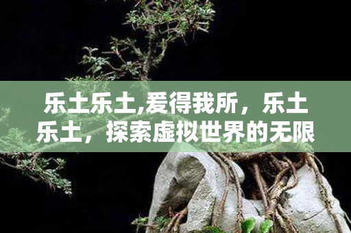 乐土乐土,爰得我所，乐土乐土，探索虚拟世界的无限可能