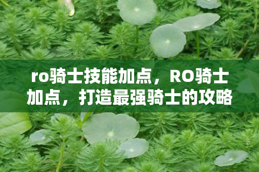 ro骑士技能加点，RO骑士加点，打造最强骑士的攻略