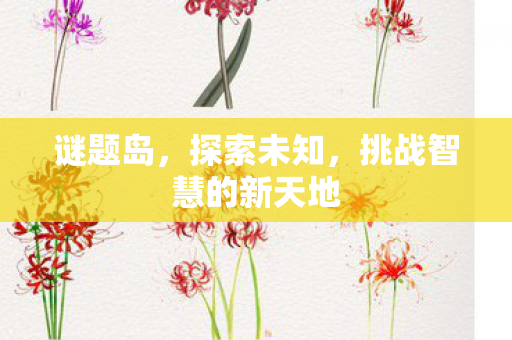 谜题岛，探索未知，挑战智慧的新天地