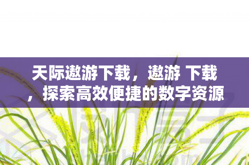 天际遨游下载，遨游 下载，探索高效便捷的数字资源获取之旅