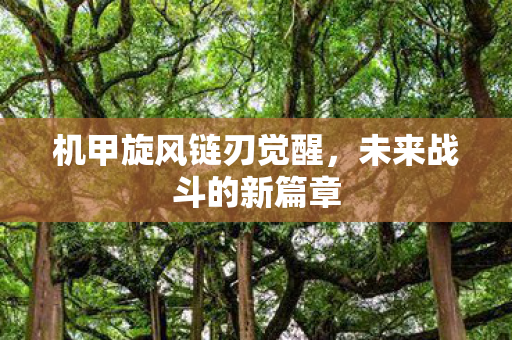 机甲旋风链刃觉醒，未来战斗的新篇章