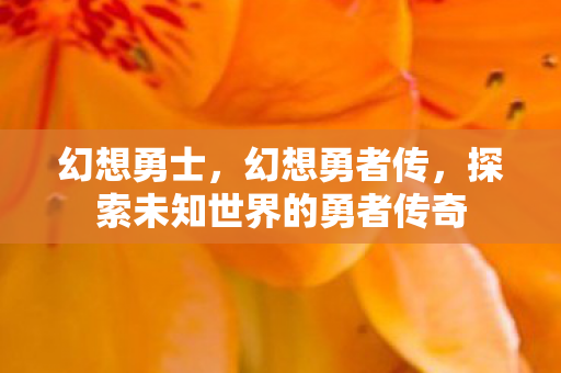 幻想勇士,幻想勇者传,探索未知世界的勇者传奇 幻想勇士,幻想勇者传,探索未知世界的勇者传奇