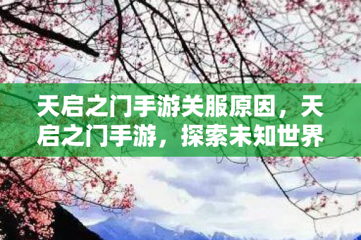 天启之门手游关服原因，天启之门手游，探索未知世界的奇幻之旅