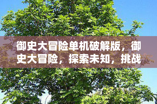 御史大冒险单机破解版，御史大冒险，探索未知，挑战极限