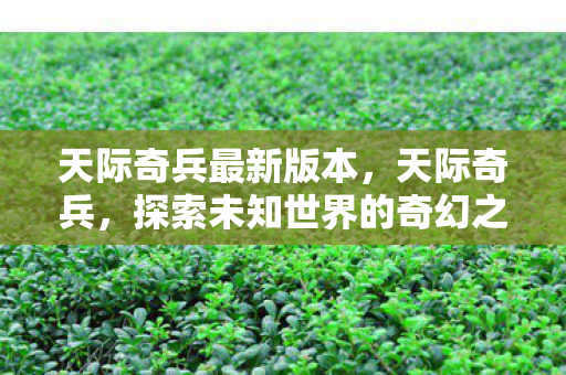 天际奇兵最新版本，天际奇兵，探索未知世界的奇幻之旅