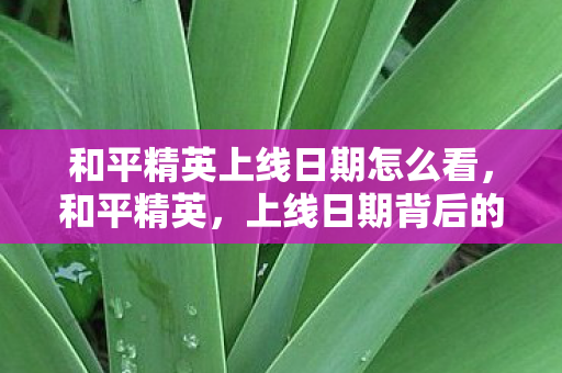 和平精英上线日期怎么看，和平精英，上线日期背后的故事与游戏发展