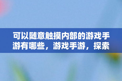 可以随意触摸内部的游戏手游有哪些，游戏手游，探索内部世界的奇妙之旅