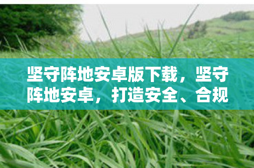 坚守阵地安卓版下载,坚守阵地安卓,打造安全、合规的游戏环境 坚守阵地安卓版下载,坚守阵地安卓,打造安全、合规的游戏环境