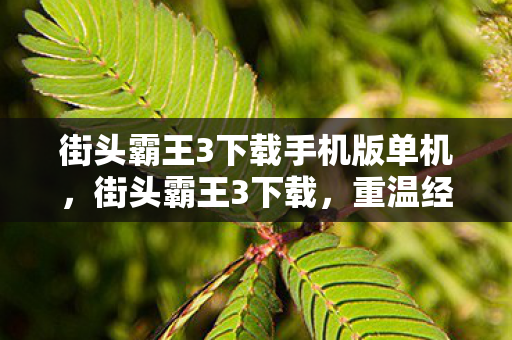 街头霸王3下载手机版单机，街头霸王3下载，重温经典格斗游戏的魅力