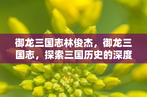 御龙三国志林俊杰，御龙三国志，探索三国历史的深度与广度