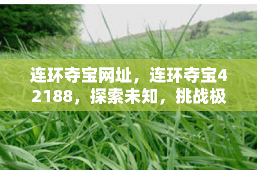 连环夺宝网址，连环夺宝42188，探索未知，挑战极限的奇幻之旅