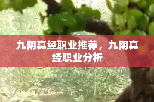 九阴真经职业推荐，九阴真经职业分析