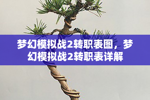梦幻模拟战2转职表图，梦幻模拟战2转职表详解