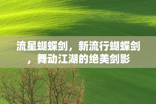 流星蝴蝶剑，新流行蝴蝶剑，舞动江湖的绝美剑影